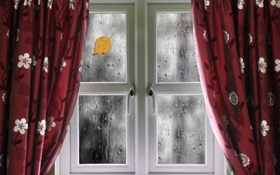 Window Blinds in Austin, TX: Shading Your Space