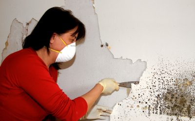 Protecting Your Home and Health with Mold Remediation in Council Bluffs, IA