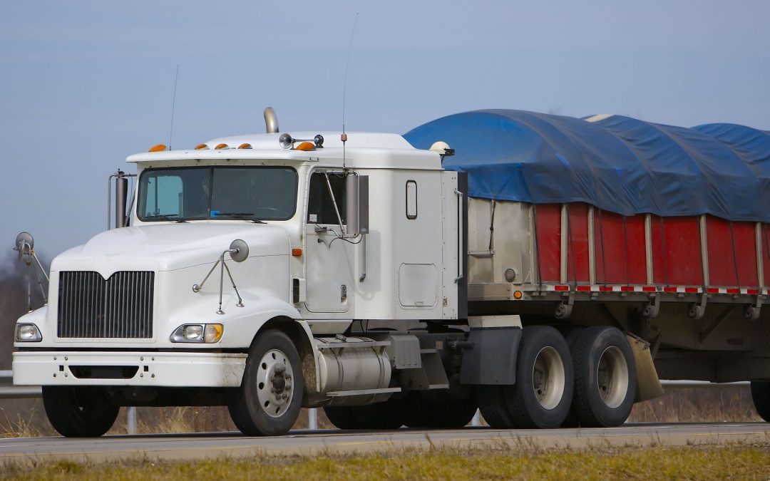 The Essential Guide to Trash Hauling in Kapolei, HI: Transforming Kapolei into a cleaner and greener community through effective trash hauling.