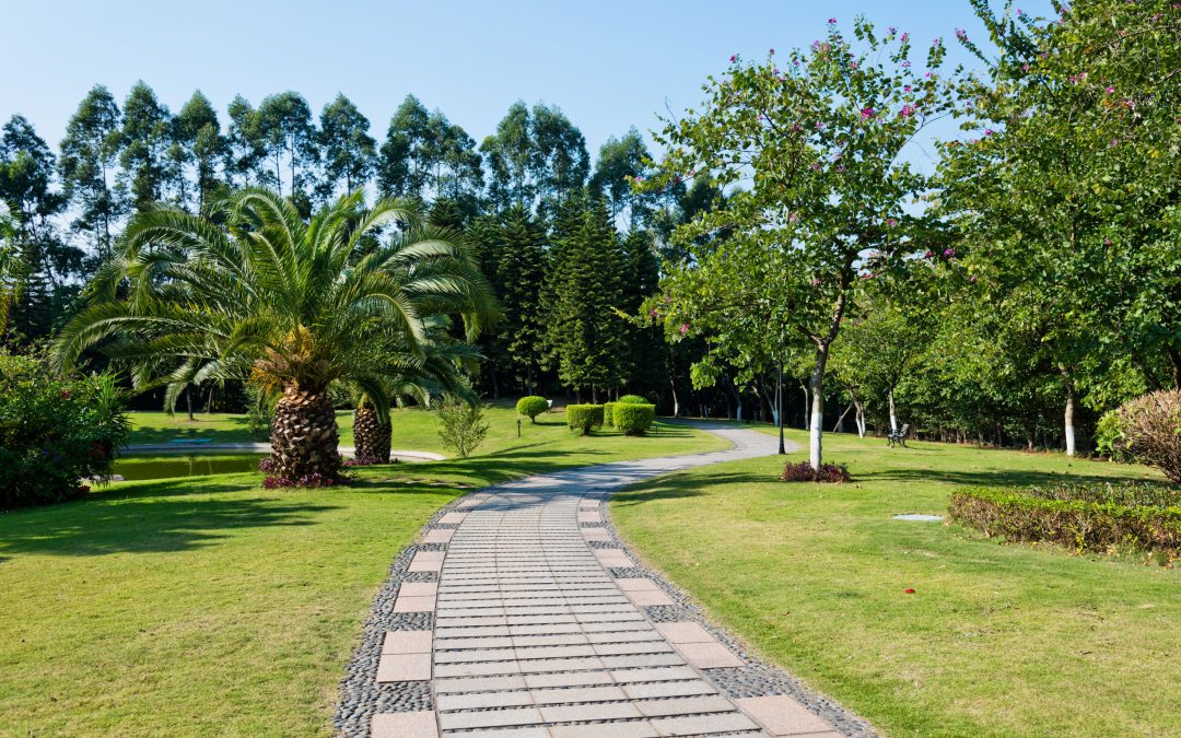 Accepting the Green: The Verdant Heritage of Trees in Calgary