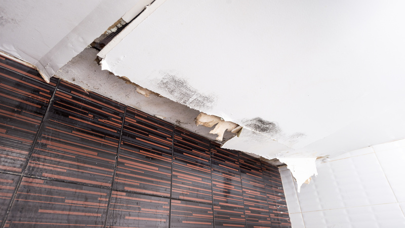 Protect your Home with Professional Water Damage Restoration Services in Omaha, NE.