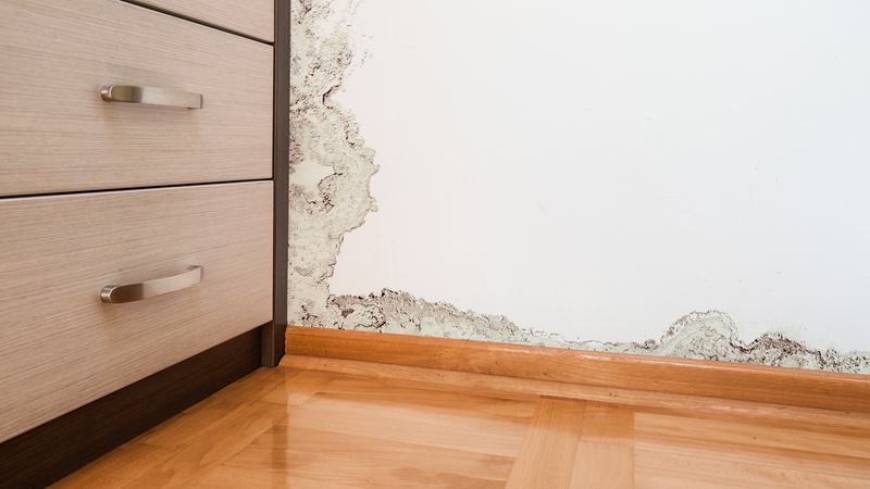 Combatting Mold: Why is Mold Damage Restoration in Council Bluffs IA Necessary for Homeowners