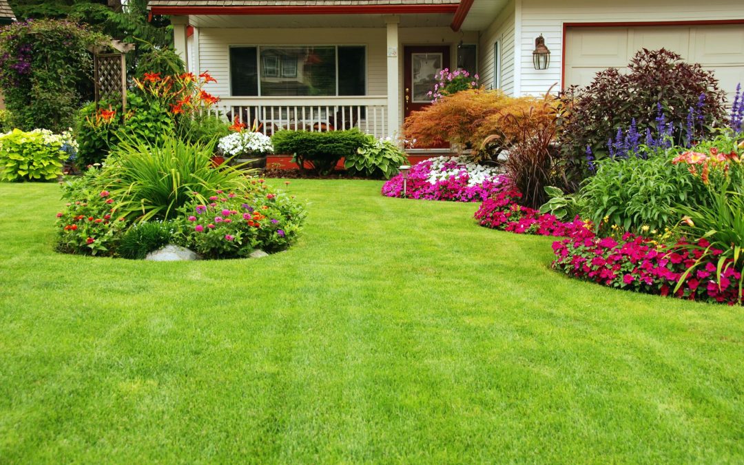 Healthy Lawn, Happy Home: Lawn Maintenance in Toronto Made Easy