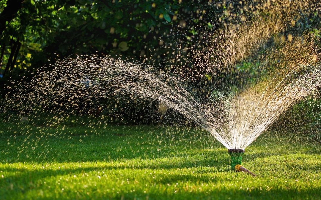 Comprehensive Guide to Sprinkler Repair in Austin: Ensuring Your Lawn’s Vitality