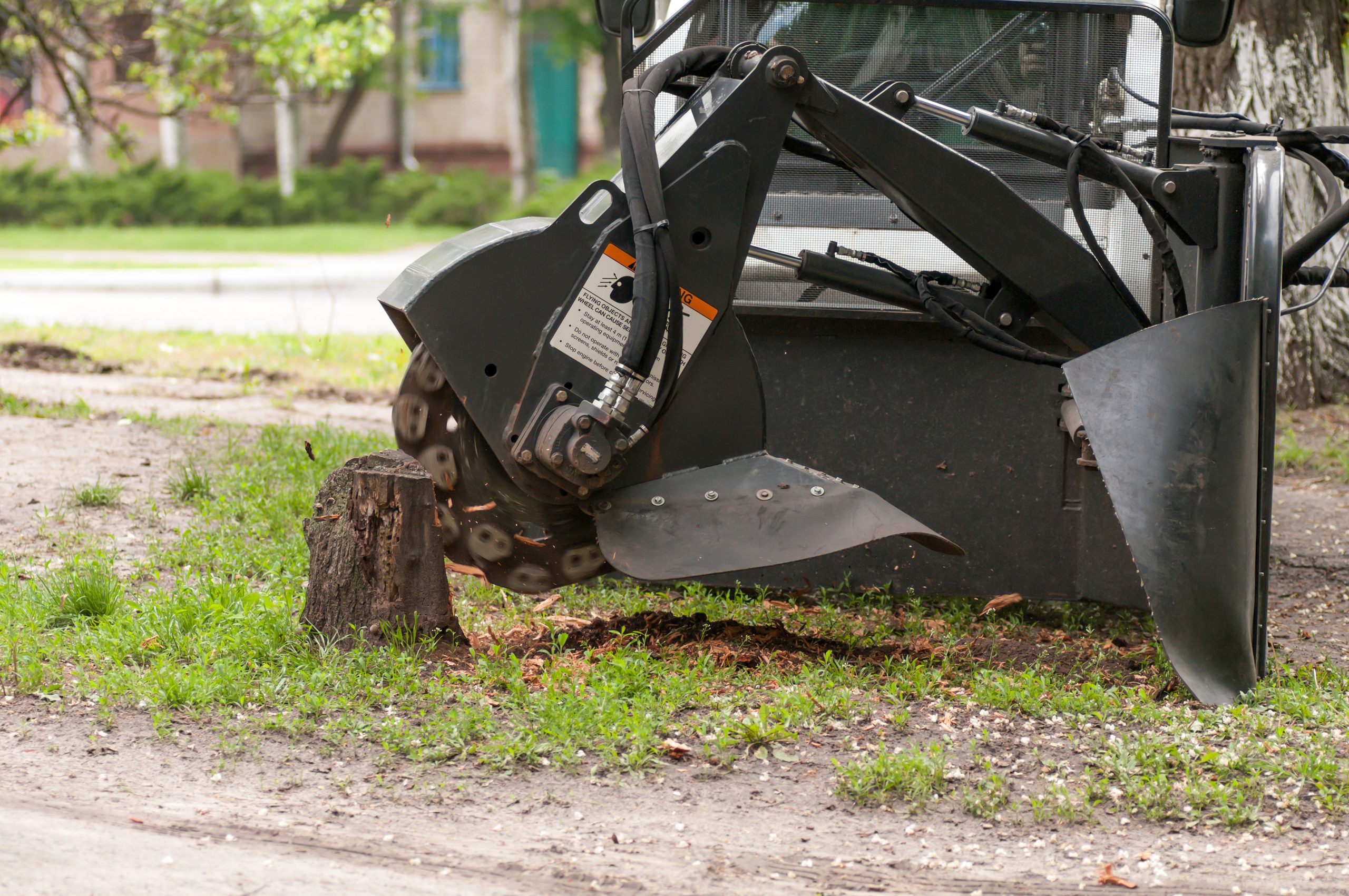 tree-remove-scaled