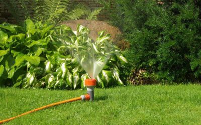 Signs Your Yard Needs a Sprinkler Repair Company Austin Locals Recommend Most