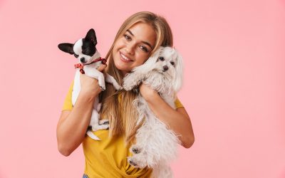 Finding Peace of Mind with Dog Daycare Wisconsin Rapids WI for Busy Pet Owners