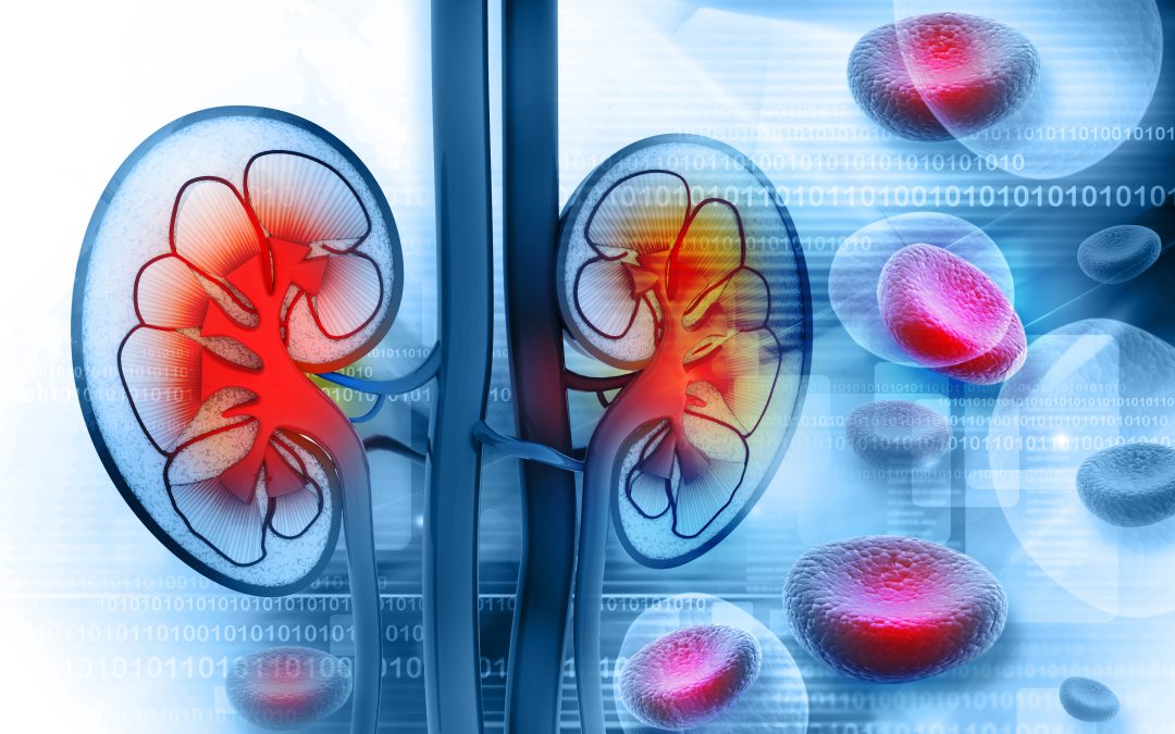 Innovative Treatment Options Now Available for Aortic Aneurysm in Petersburg, VA