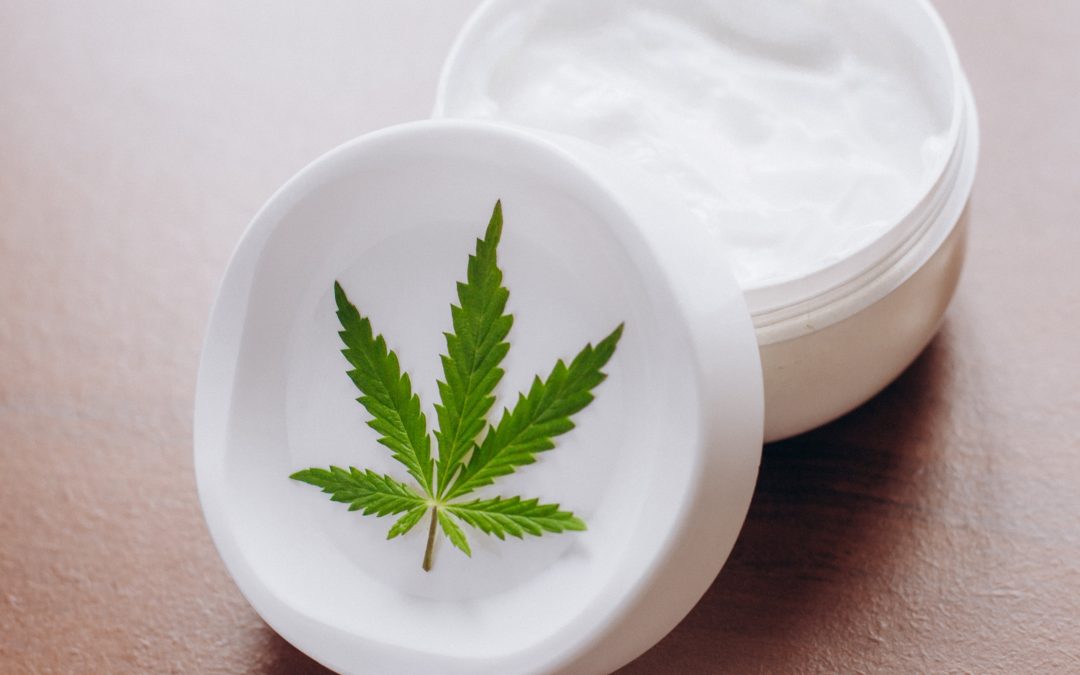 Guide to understanding Springfield MA Dispensary product selections for informed choices