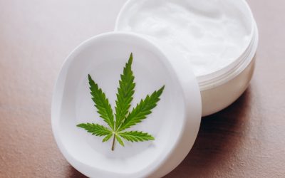Guide to understanding Springfield MA Dispensary product selections for informed choices