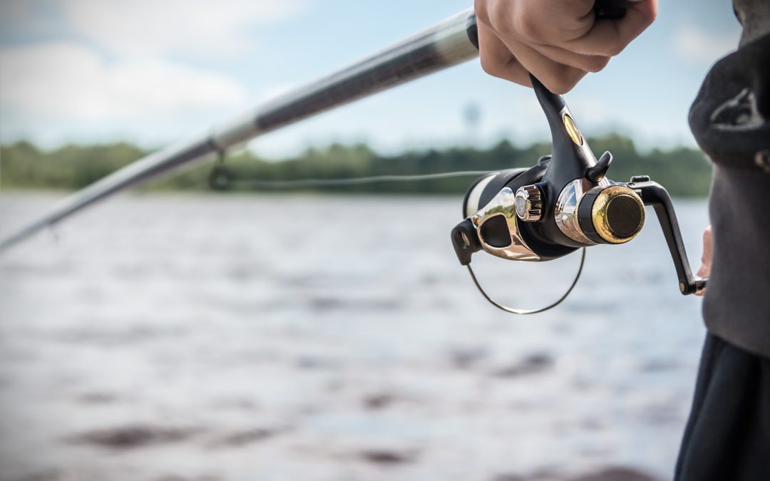 Make Lasting Memories on the Water with a Charter Boat For Fishing in Marathon, FL