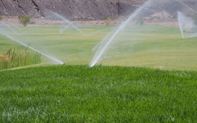 Save Time on Maintenance by Choosing a Sprinkler Company Austin Families Recommend