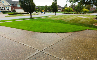 Simple solutions for weed control, Shelbyville, KY homeowners trust for lasting, healthy lawns
