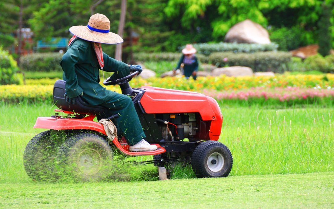 Lawn Care Services for Healthier Lawns and Greener Outdoor Spaces