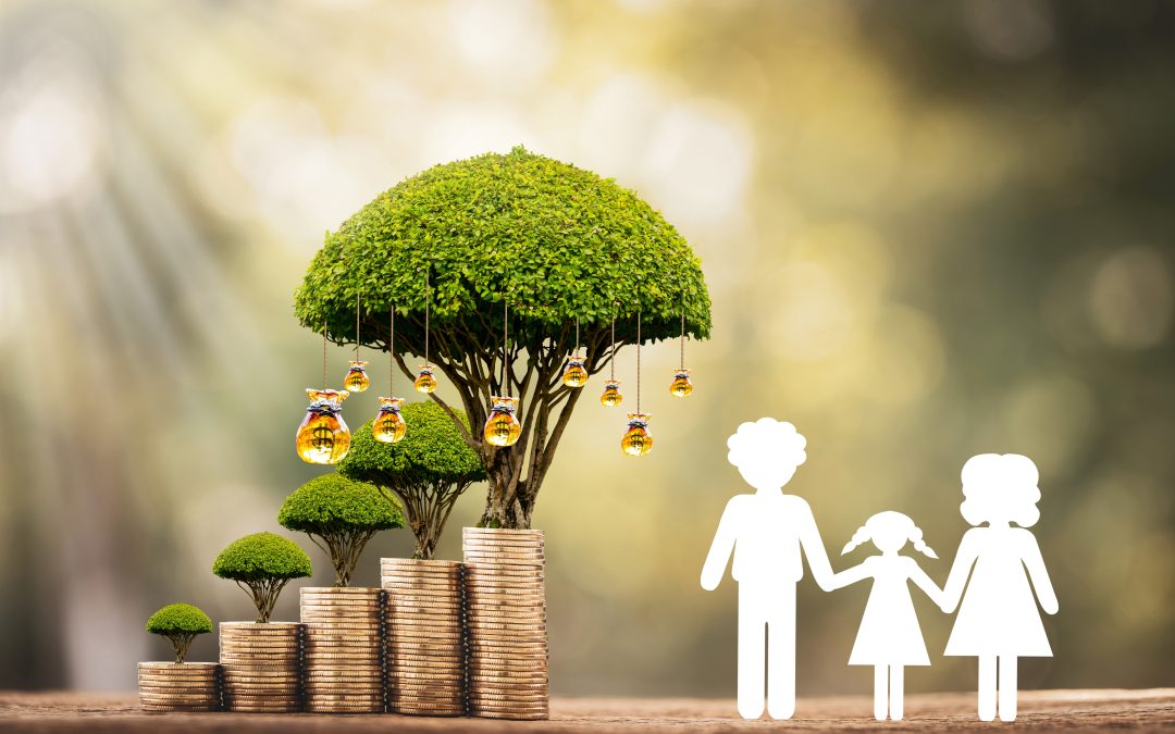 Unlock Financial Security With Wealth Management Planning Clearwater FL Experts