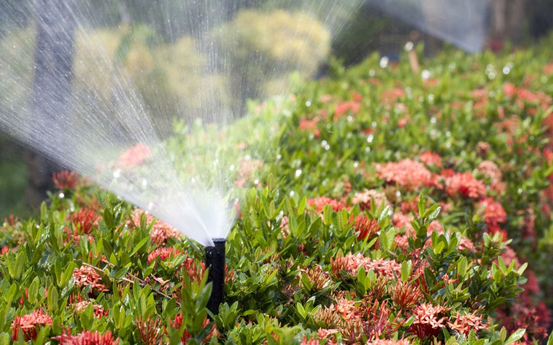 Save Water and Money with Efficient Sprinkler System Repair Austin Homeowners Trust