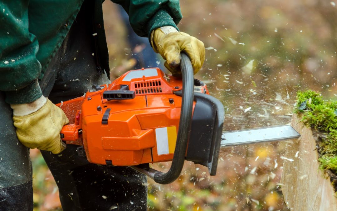 Make Lawn Care Easier With Stump Grinding Services