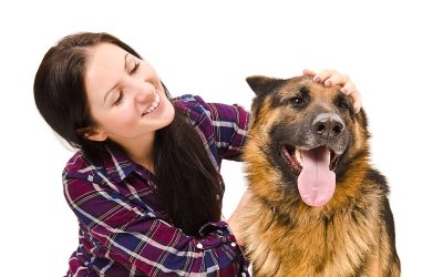 Keep Pets Happy and Healthy with Pet Grooming Services in Wisconsin Rapids, WI