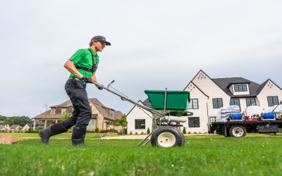 Why Choosing Lawn Fertilizing In Germantown, TN, Helps Prevent Common Grass Issues